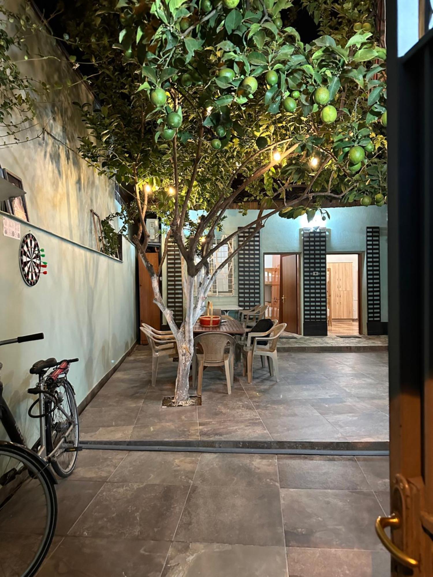 Tirana Lemon Breeze Hostel מראה חיצוני תמונה